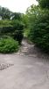 20170607_133559.jpg