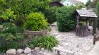 20170607_133653.jpg